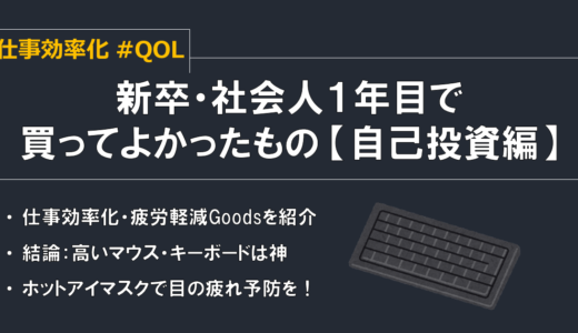 新卒・社会人1年目で買ってよかったもの【自己投資編】